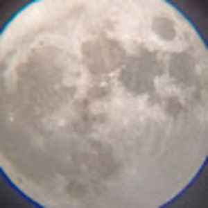 Meet your Posher, Bailey